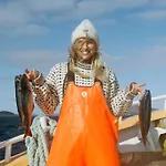 Storfjord 5* Skodje