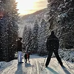 Storfjord Skodje