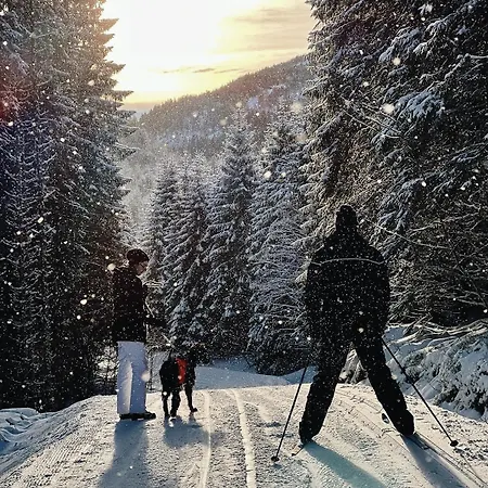 Storfjord Skodje
