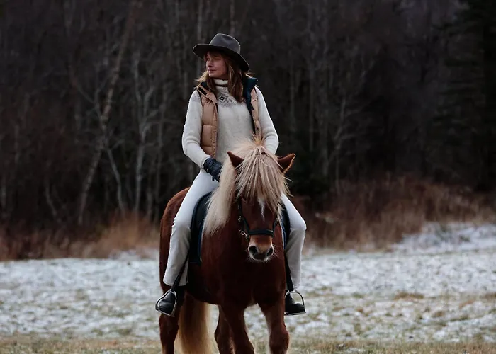 Storfjord Hotel Skodje